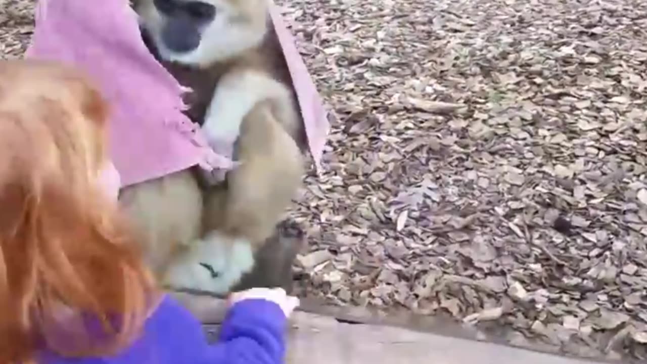 Best Funny