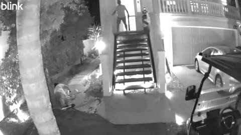 Long-Distance Fall During Pizza Delivery