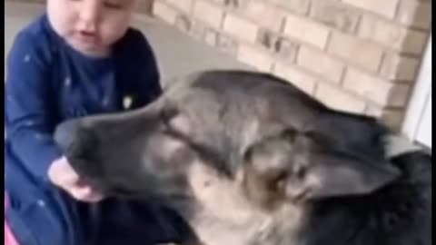 Girl with puppy