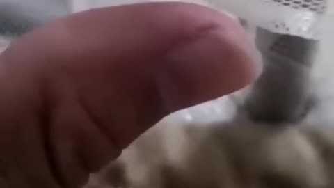 Troller un moustique