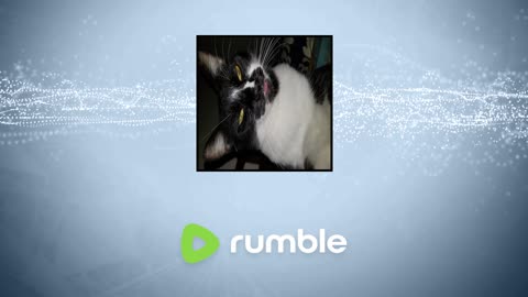 back to Beam lack of damage in assettto annoys me little bit of bodycam