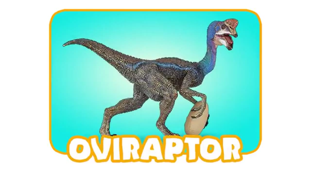 Funny Animation Catoon videos for kids entertainment just for fun