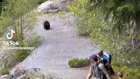 family handles a bear that's after them
