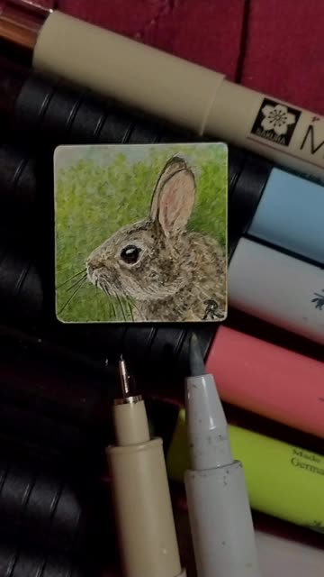 Tiny Rabbit Drawing - Supplies Used