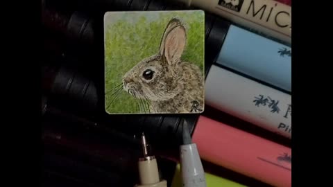 Tiny Rabbit Drawing - Supplies Used