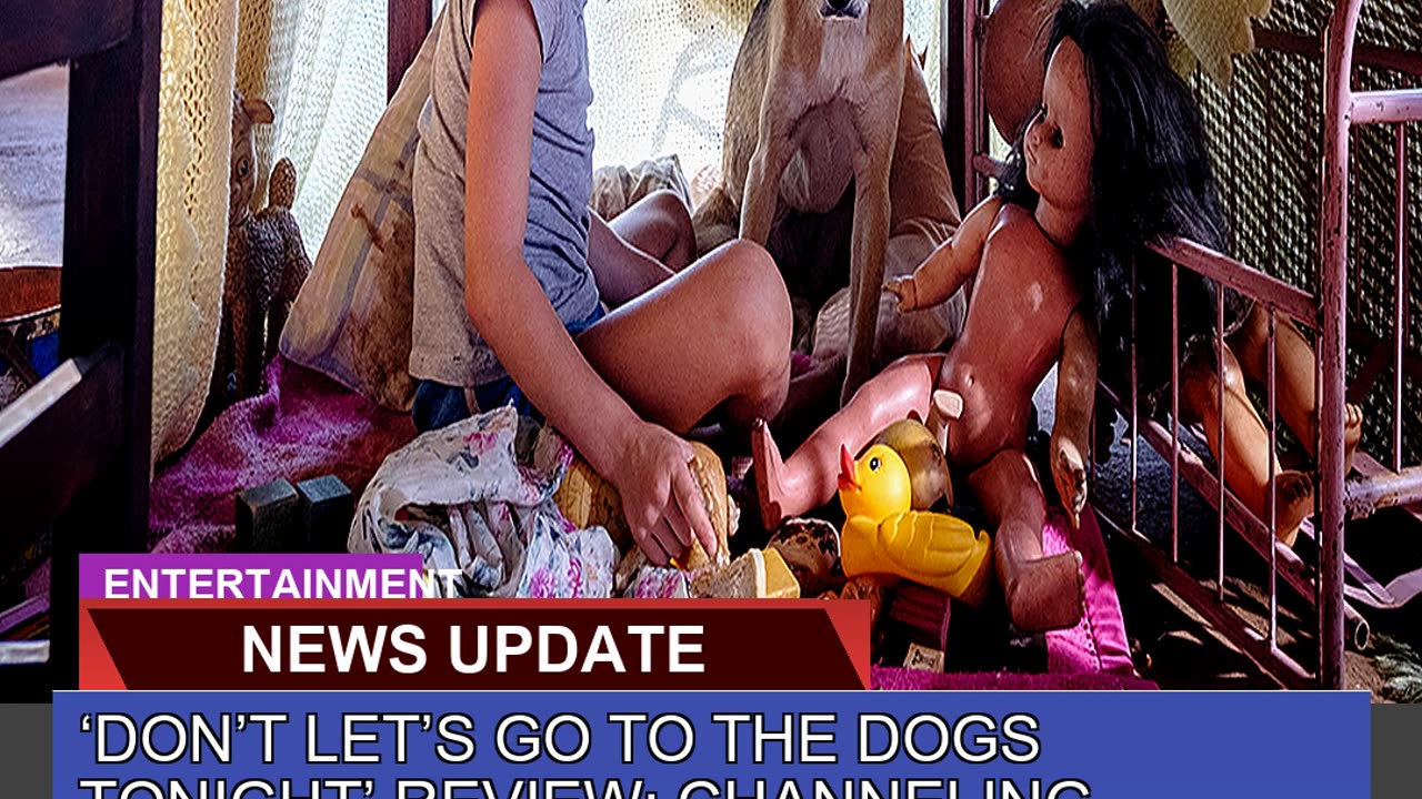 Dont Lets Go to the Dogs Tonight Review Chann