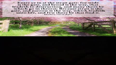 DC Talk ~ The Hard Way { Live + Lyrics } Remix 1 Christcore Slowed PC FX
