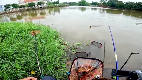 Roach Jig Fishing in Slow River Pools