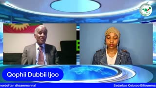 Qophii Dubbii Ijoo ONM-ABO Hagayya 21-2025 itti dhiyaadhaa!