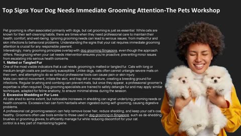 Top Signs Your Dog Needs Immediate Grooming Attention
