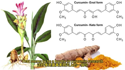 薑黃素潛力大 預防大腸癌