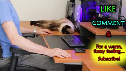 5 Crucial Features for Your Next Office Chair