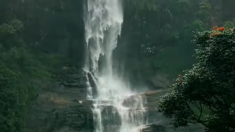 Nature of sri lanka
