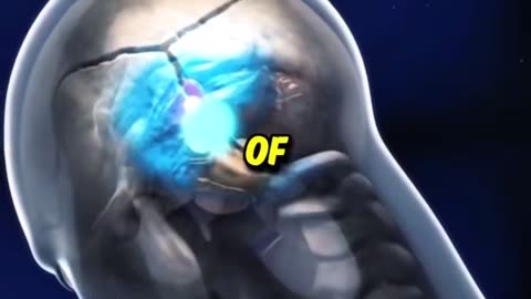 Pineal Gland Activation