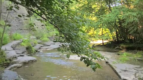 Treman Park Gorge Trail Ascent: First Waterfall