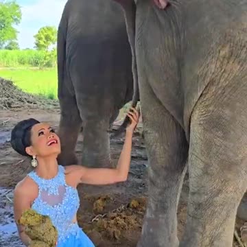 The government giving the people the secret files on Epstein, JFK and such