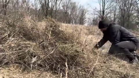 "How I Built a Hanging Treehouse to Stay Safe from Wild Boars and Forest Predators"