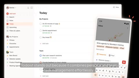 How Todoist Helps 50+ Million People Stay Organized