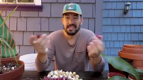 What to Look for When Planting Onion Sets