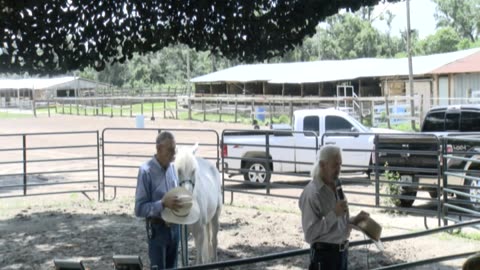 Skipper Calder & Cowboy-up Ministry bring horse training with a message at 11am.
