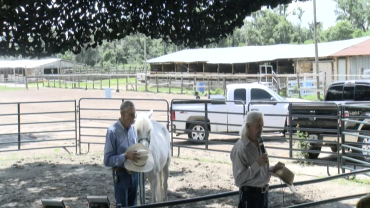 Skipper Calder & Cowboy-up Ministry bring horse training with a message at 11am.