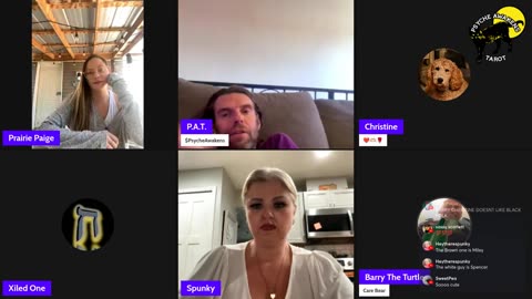 07/07/25 Psyche Awakens VOD: "Meetas Puppies Hype Open Panel Tarot and Cats"