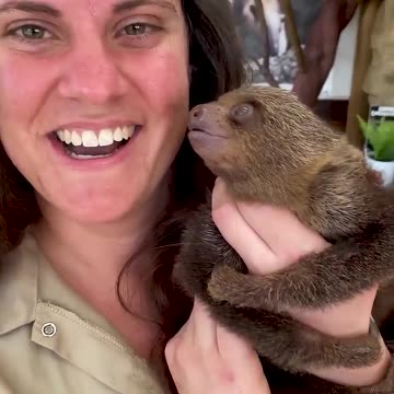 Nature s Beautiful Animal Evolution #animaljourney #animaltransformation #beautifulnature