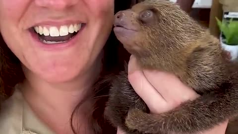 Nature s Beautiful Animal Evolution #animaljourney #animaltransformation #beautifulnature