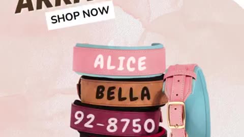 Stylish Personalized Dog Collars for All Breeds | CurliTail