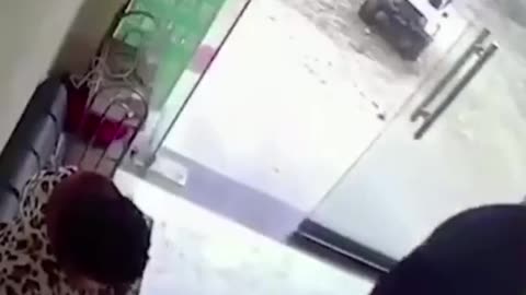 🤬🔍🐇