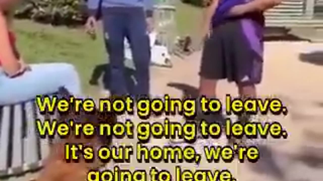 They are so scared of dogs.