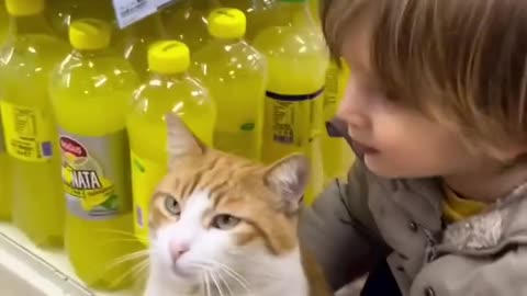 Cat and child