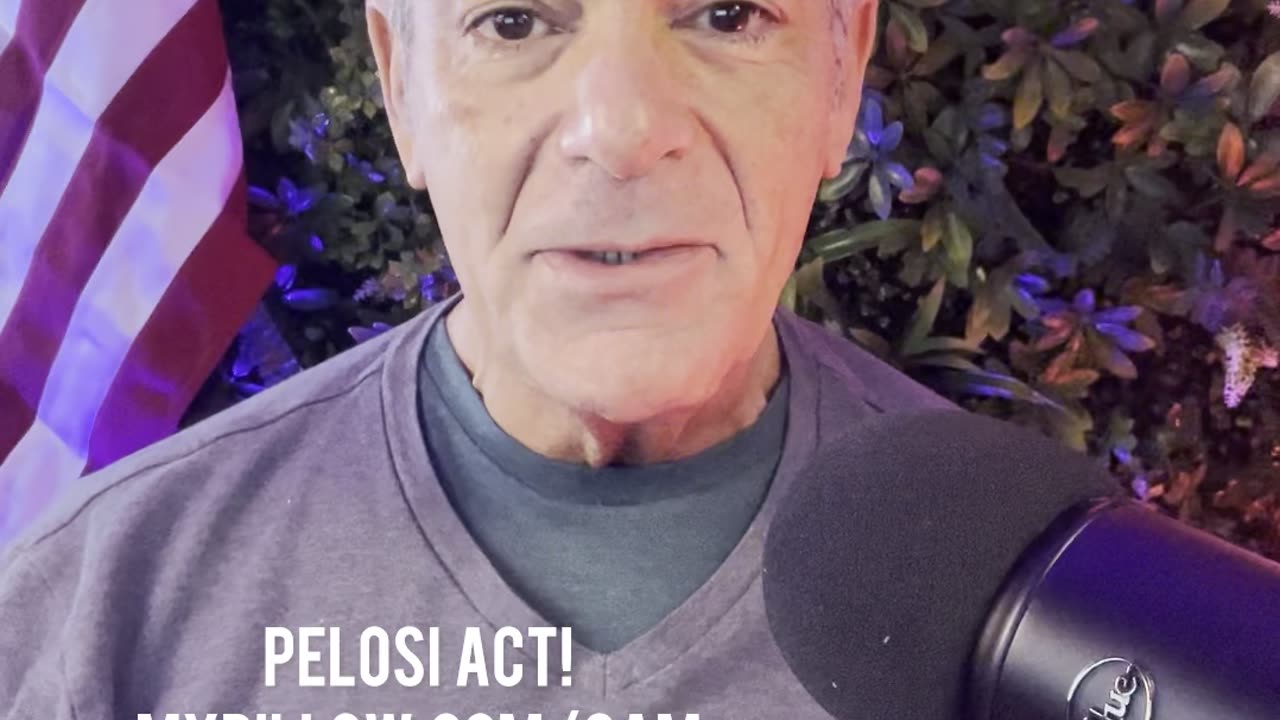 Pelosi Act!