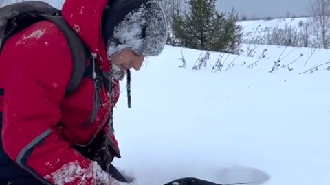 Even birds have fun!🤣 A guy showed how his tame crow loves to play in the snow