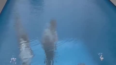 "Swimming Pool" a "trompe-l'œil" an optical illusion made with 10 cm of water, by Leandro Erlich.