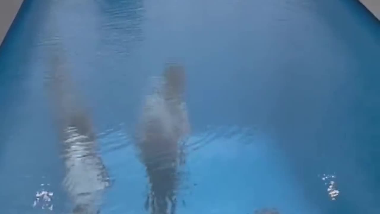 "Swimming Pool" a "trompe-l'œil" an optical illusion made with 10 cm of water, by Leandro Erlich.