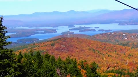 Fall Foliage