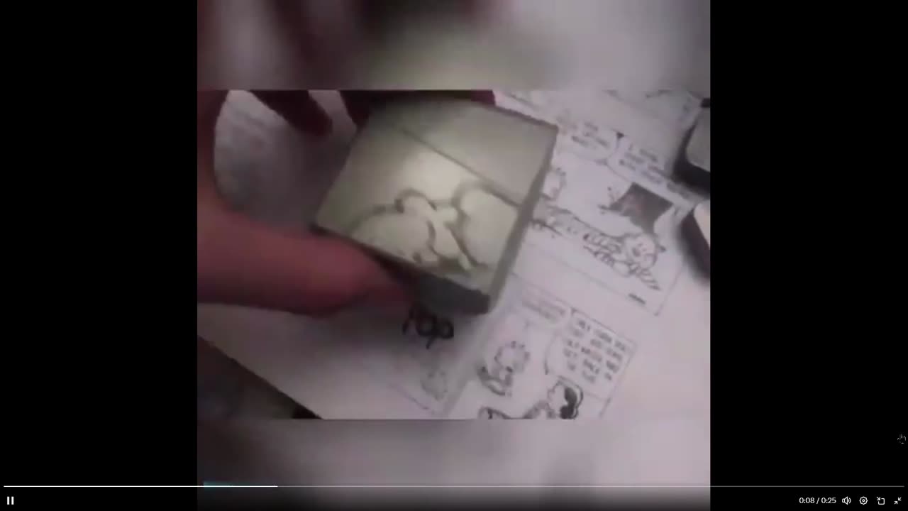 Ever hear of Ulexite stone - a mineral, it projects an image of what ever is behind