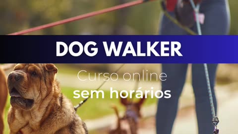 Dog Walker Passeador cães