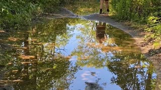 LOOK AT THAT BEAUTIFUL REFLECTION | Plus a little commentary