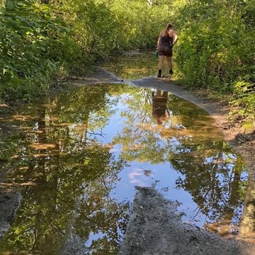 LOOK AT THAT BEAUTIFUL REFLECTION | Plus a little commentary