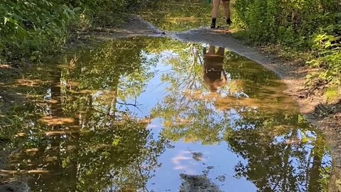 LOOK AT THAT BEAUTIFUL REFLECTION | Plus a little commentary