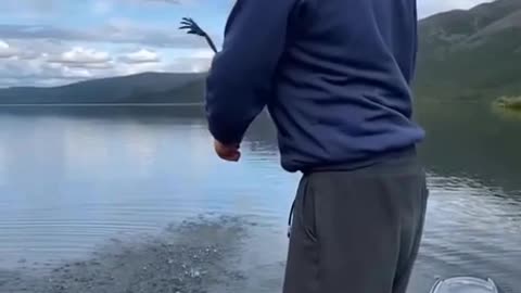 My fish