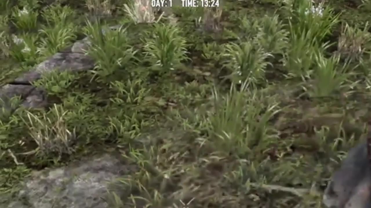 tree trunk explodes