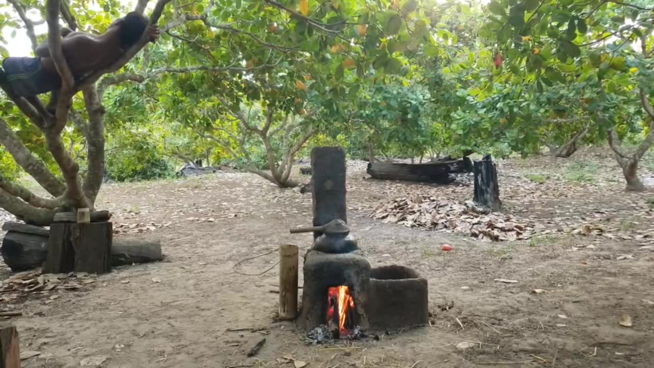 Indigenous Wine Distillation Process in a Natural Environment