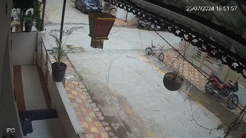 Heroic German Shepherd Saves Child from Street Dog Attack | RockC the GSD