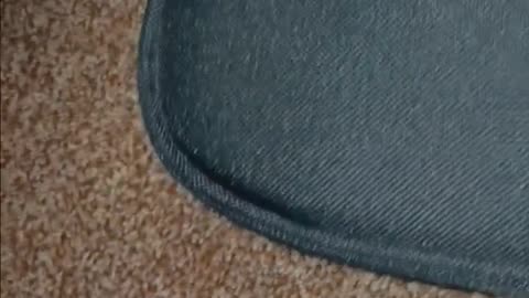 THE MISSING SWITCH CABLE IS BACK!