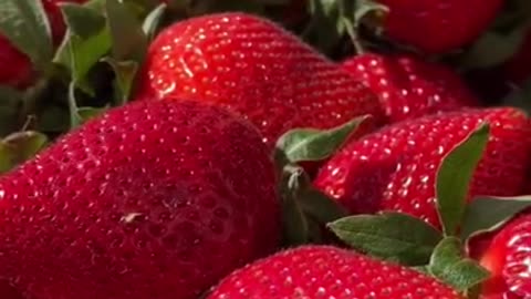 Strawberry Ke Health Benefits in Summer