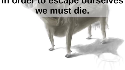 Us Escape Us