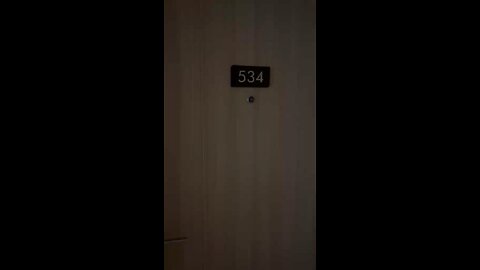 SMDC Vines condo unit